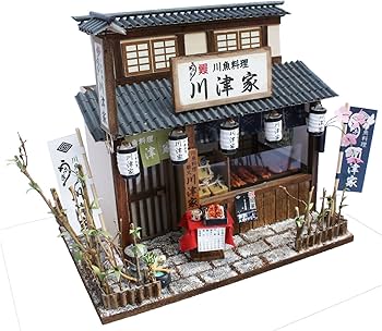 81nwJSu+DXL._AC_UF350,